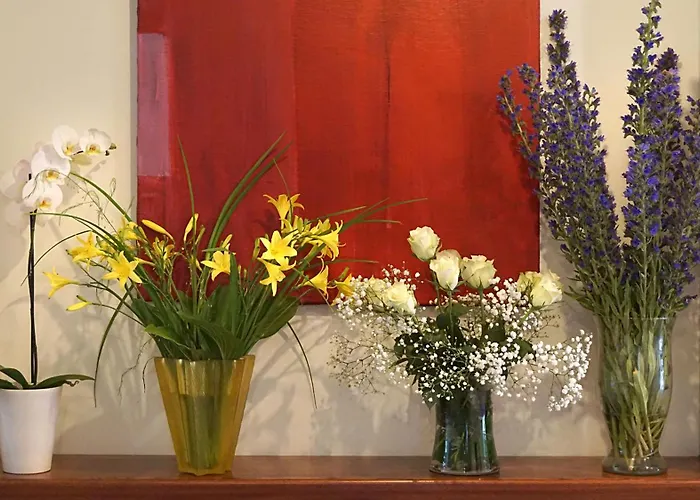 Отель Promenada